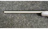 Savage Arms ~ Model - 93R17 ~ .17HMR - 6 of 11