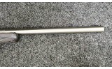 Savage Arms ~ Model - 93R17 ~ .17HMR - 4 of 11
