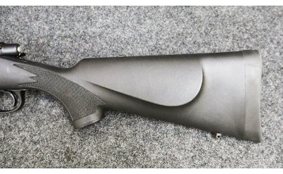Remington ~ Model - 700 ~ .223 Remington - Image 8 of 11