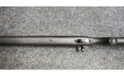 Savage ~ Model 10 ~ 243 Winchester - Image 10 of 11