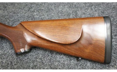 Remington ~ Model 700 ~ 243 Winchester - Image 9 of 10