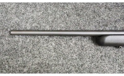 Savage Arms ~ Model - 93R17 ~ .17 HMR - Image 6 of 11