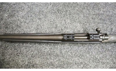 Remington ~ Model - 700 ~ .22-250 Remington - Image 11 of 11