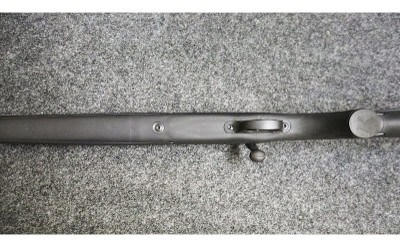 Remington ~ Model - 700 ~ .22-250 Remington - Image 10 of 11