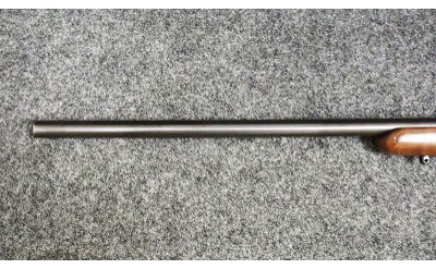 CZ ~ Model - 527 ~ .204 Ruger - Image 6 of 11