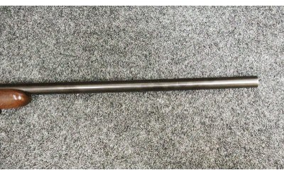 CZ ~ Model - 527 ~ .204 Ruger - Image 4 of 11