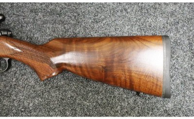 CZ ~ Model - 527 ~ .204 Ruger - Image 8 of 11