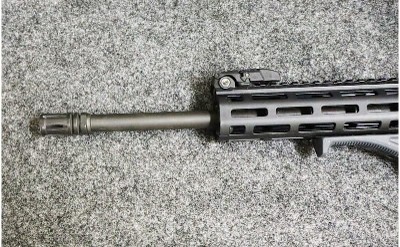 Smith&Wesson ~ Model - M&P15 - 22 ~ .22 Long Rifle - Image 6 of 12