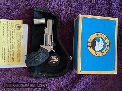 NAA Blackwidow 22LR/ 22Mag