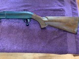 Browning BPS 20 Gauge Walnut - 4 of 5