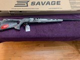 Savage A-17 17HMR