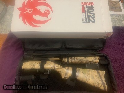 Ruger 10-22 Takedown