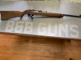 Ruger 10-22 22 Magnum