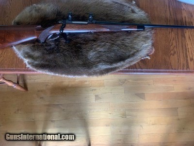 Ruger 77 Ultra Light 30-06