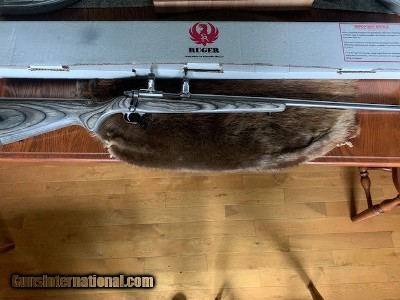 Ruger 77/17 All Weather 17 HMR