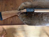 Stevens Model 94
10 Gauge
