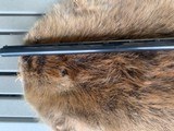 Remington 1100 12 Gauge 30” Vent Rib Full Choke - 3 of 4