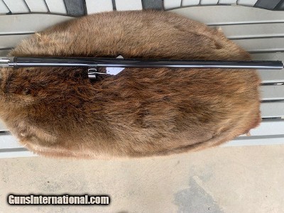 Browning A-5 12 Gauge Magnum