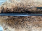 Browning A-5 12 Gauge Magnum - 5 of 6