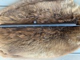 Remington 870 Express 20 Gauge