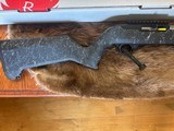 Ruger 10-22 Fiber Carbon 22 LR - 2 of 6
