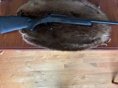 H & R Ultra Slug 20 Gauge