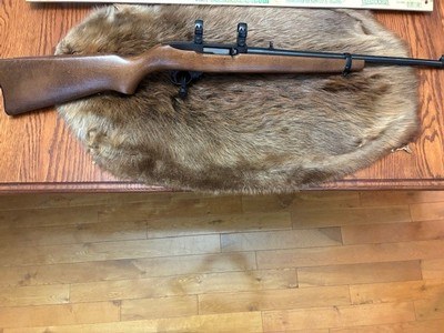 Ruger 10-22 22 Magnum Excellent Condition
