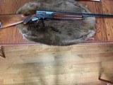 Browning A-5 Sweet 16 Belgium