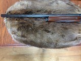 Browning A-5 Sweet 16 Belgium - 6 of 7