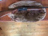 Remington 1100LT 20 Gauge