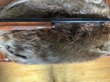 Remington 1100LT 20 Gauge - 3 of 6