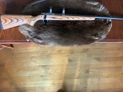 Ruger 77/22 22 Hornet