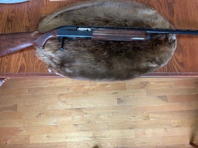 Remington 1100 Classic Field 12 Gauge