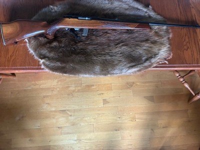 Weatherby MKXXII 22LR