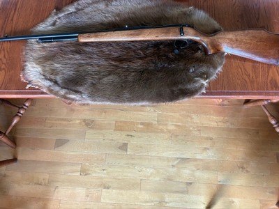 Remington 582 22 LR Excellent Condition $750