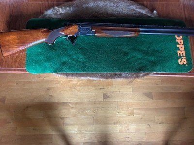 Winchester 101 12 Gauge