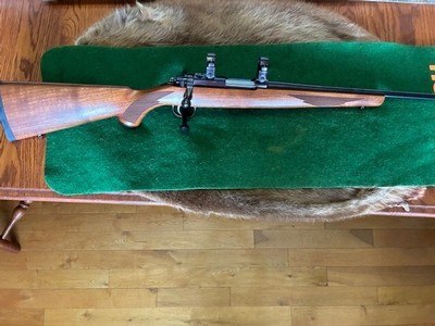 Ruger 77/22 Hornet