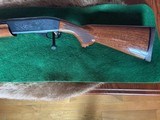 Remington 1187 Premier 20 Gauge - 4 of 5