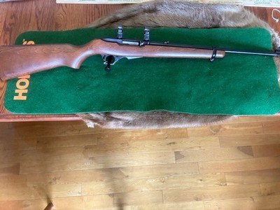 Ruger 10-22 22 Magnum