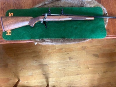 Ruger 77 Hawkeye 257 Roberts