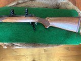 Ruger 77 Hawkeye 257 Roberts - 4 of 6