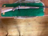 Ruger 77 Hawkeye 257 Roberts