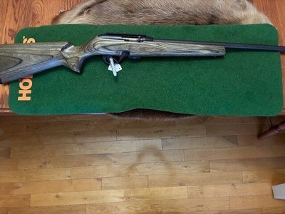 Remington 597 Magnum 17 HMR Semi Auto