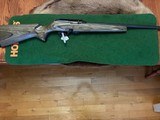 Remington 597 Magnum 17 HMR Semi Auto