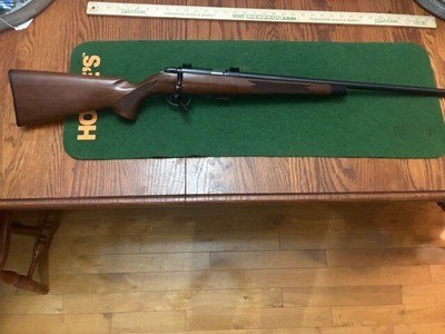 Remington 541T 22LR
