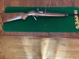 Ruger 10-22 22 Magnum - 1 of 6