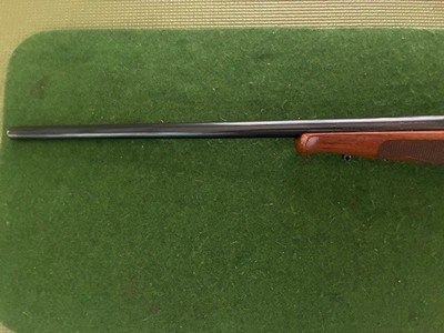 Winchester Model 70 XTR Featherweight 257 Roberts - Image 5 of 11