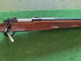 Ruger 77 V 243 Win 24” Heavy Barrel - Image 3 of 9