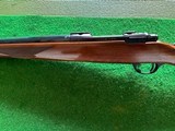 Ruger 77 V 243 Win 24” Heavy Barrel - Image 6 of 9