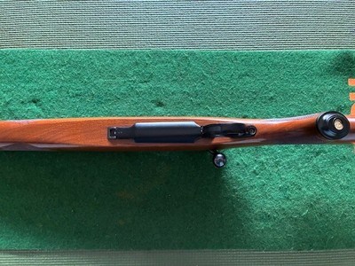 Ruger 77 V 243 Win 24” Heavy Barrel - Image 8 of 9